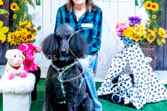 26-3-14-Scent-Work-864