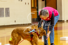 26-3-14-Scent-Work-87