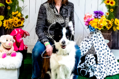 26-3-14-Scent-Work-916