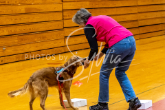 26-3-14-Scent-Work-92