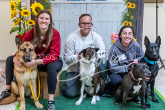 2026-3-15 AADTCScent Work Sunday