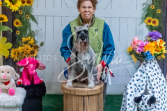 26-3-15-Scent-Work-1009