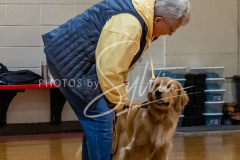 26-3-15-Scent-Work-102