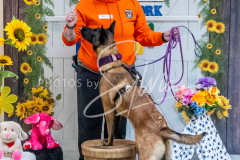 26-3-15-Scent-Work-1039