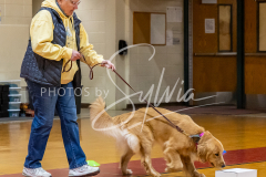 26-3-15-Scent-Work-105