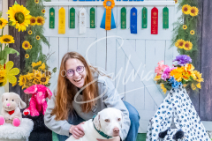 26-3-15-Scent-Work-1052