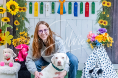 26-3-15-Scent-Work-1056