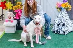 26-3-15-Scent-Work-1058