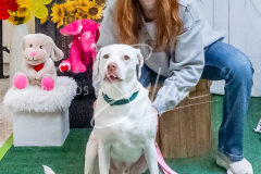 26-3-15-Scent-Work-1060