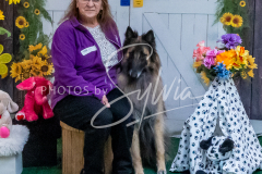 26-3-15-Scent-Work-1113