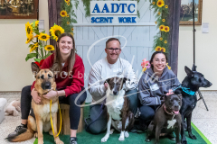 26-3-15-Scent-Work-1127