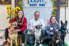 26-3-15-Scent-Work-1129