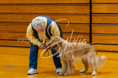 26-3-15-Scent-Work-113