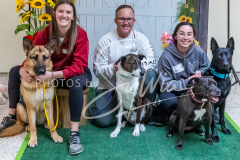 26-3-15-Scent-Work-1131