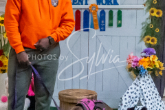 26-3-15-Scent-Work-1183