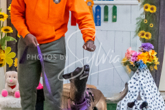 26-3-15-Scent-Work-1191