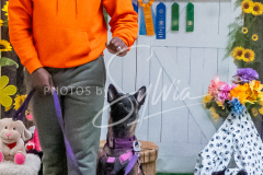 26-3-15-Scent-Work-1199