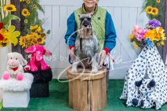 26-3-15-Scent-Work-1245