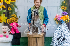 26-3-15-Scent-Work-1247