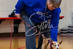 26-3-15-Scent-Work-128