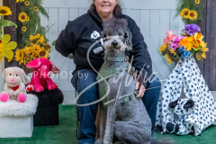 26-3-15-Scent-Work-1299