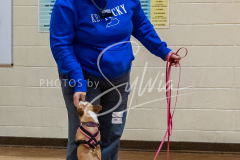 26-3-15-Scent-Work-134