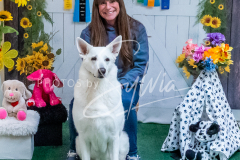 26-3-15-Scent-Work-1350