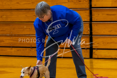 26-3-15-Scent-Work-136