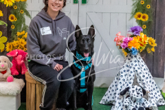 26-3-15-Scent-Work-1417