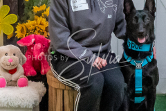 26-3-15-Scent-Work-1418