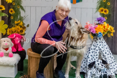 26-3-15-Scent-Work-1445