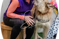 26-3-15-Scent-Work-1446