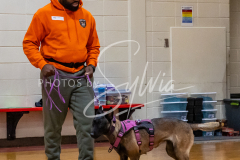 26-3-15-Scent-Work-146