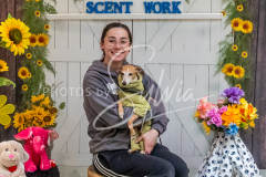 26-3-15-Scent-Work-1486