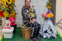 26-3-15-Scent-Work-1489