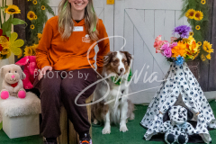 26-3-15-Scent-Work-1550