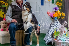 26-3-15-Scent-Work-1554