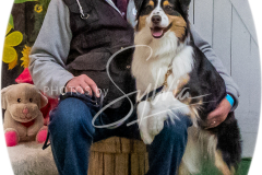 26-3-15-Scent-Work-1556