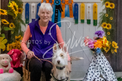 26-3-15-Scent-Work-1561