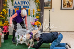 26-3-15-Scent-Work-1569