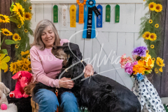 26-3-15-Scent-Work-1595