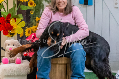 26-3-15-Scent-Work-1604