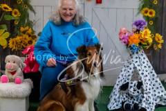 26-3-15-Scent-Work-1639