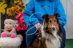 26-3-15-Scent-Work-1640