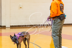 26-3-15-Scent-Work-170