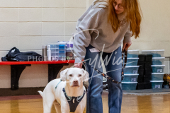 26-3-15-Scent-Work-177