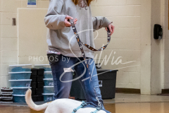 26-3-15-Scent-Work-178