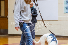 26-3-15-Scent-Work-181