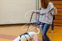 26-3-15-Scent-Work-190