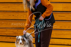 26-3-15-Scent-Work-212